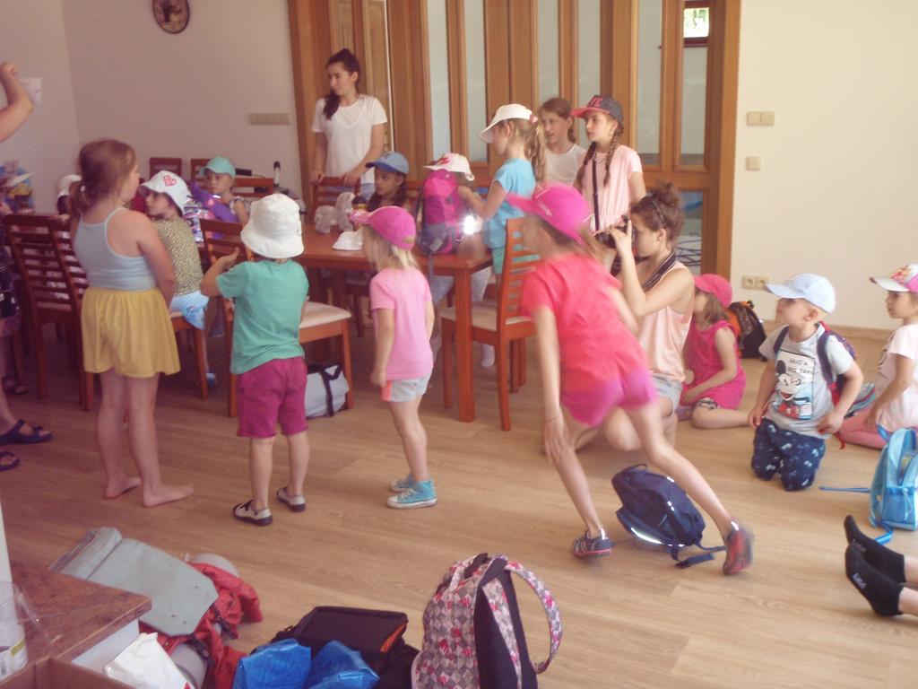 Penzion U Blatce Hotel Nové Hrady Екстериор снимка